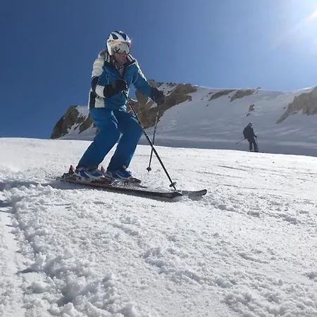 Les Ecureuils Squirrel