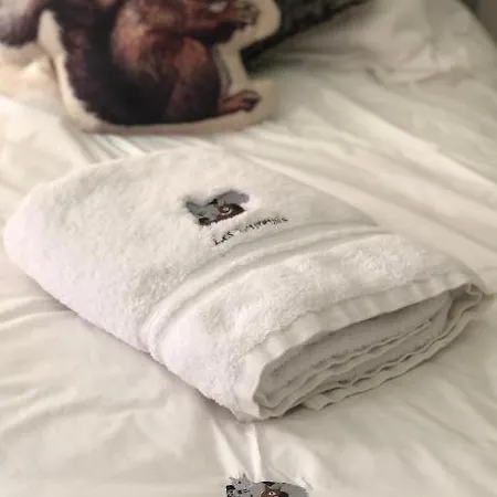 Appartement Les Ecureuils Squirrel