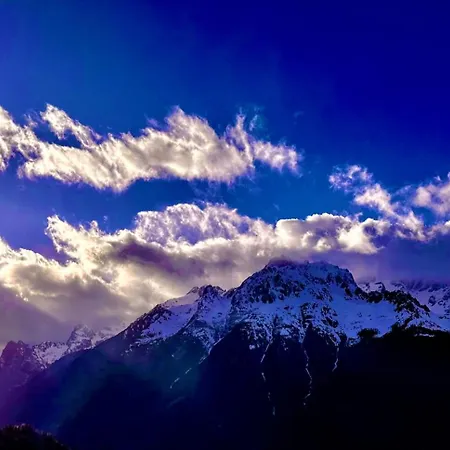 Les Ecureuils Squirrel * Oz