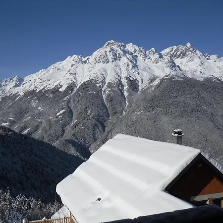 Les Ecureuils Squirrel Oz