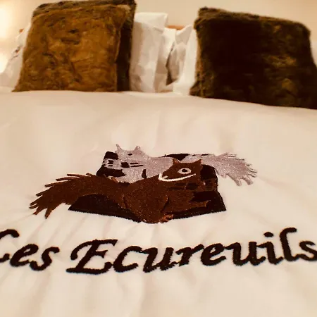 Les Ecureuils Squirrel