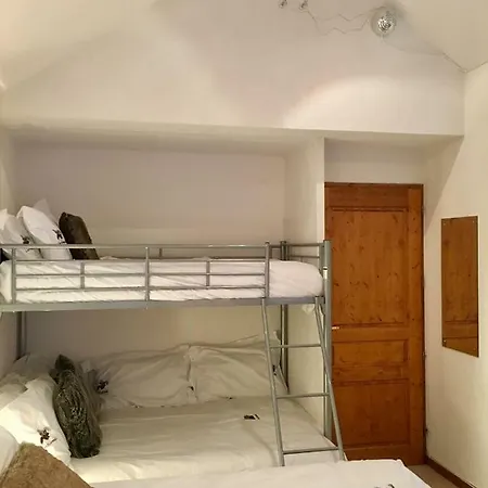 Les Ecureuils Squirrel Oz