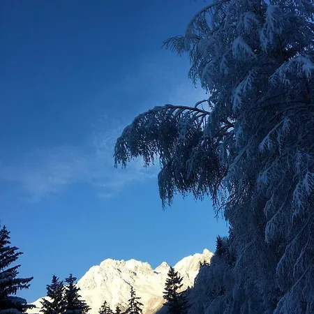 Les Ecureuils Squirrel Appartement