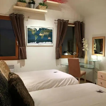 Les Ecureuils Squirrel *