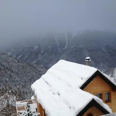 Les Ecureuils Squirrel