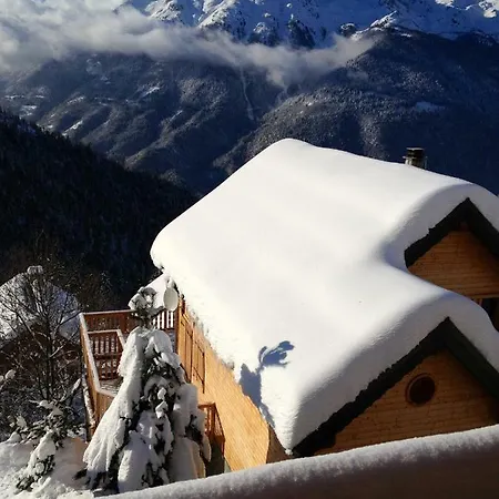 Les Ecureuils Squirrel Oz