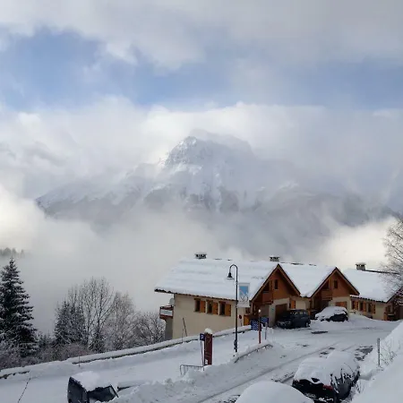 Les Ecureuils Squirrel Oz