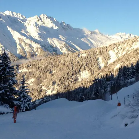 Appartement Les Ecureuils Squirrel Oz