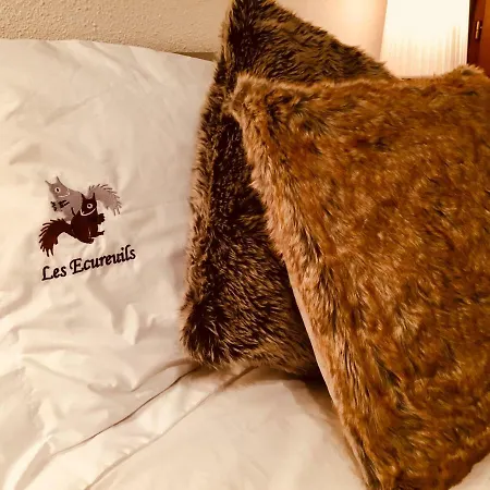 Les Ecureuils Squirrel