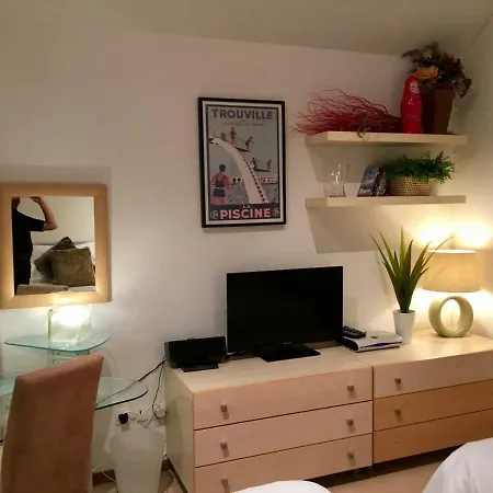 Les Ecureuils Squirrel *