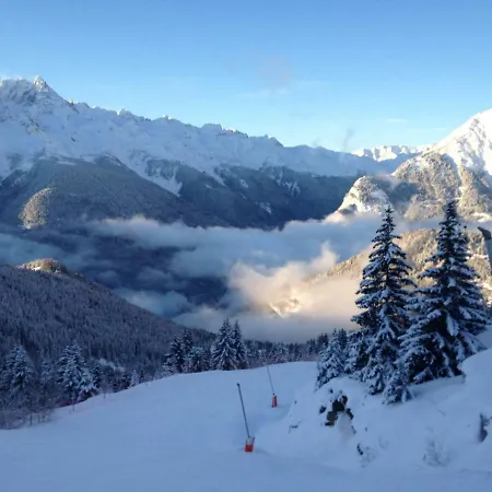 Les Ecureuils Squirrel Оз