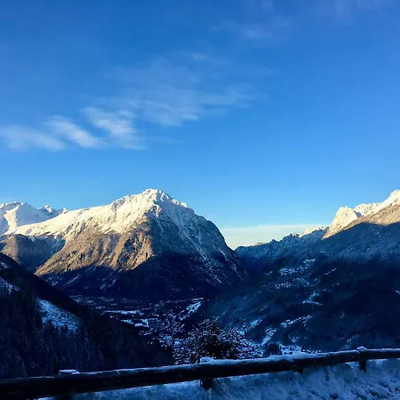 Les Ecureuils Squirrel * Oz