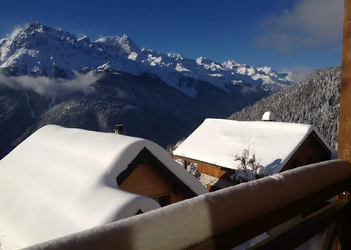 Appartement Les Ecureuils Squirrel